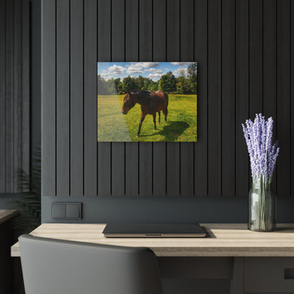 U R There Photography Brown Beauty II Rustic Farmhouse Acrylic Wall Print