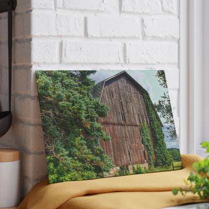 U R There Photography North Branch Ivy Grey I Rustic Farmhouse Tempered-Glass Cutting Board