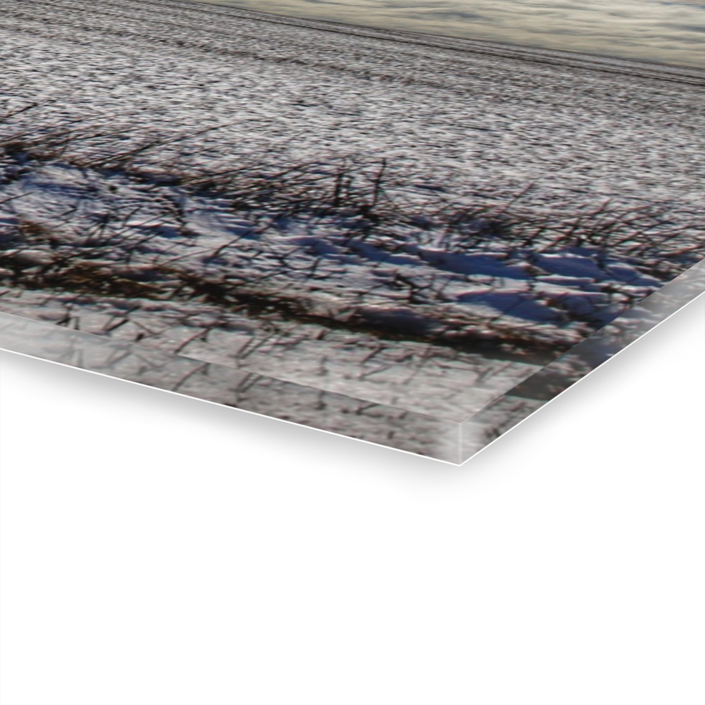 U R There Photography Early Spring Grey I Rustic Farmhouse Acrylic Wall Print