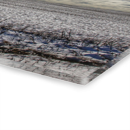 U R There Photography Early Spring Grey I Rustic Farmhouse Acrylic Wall Print