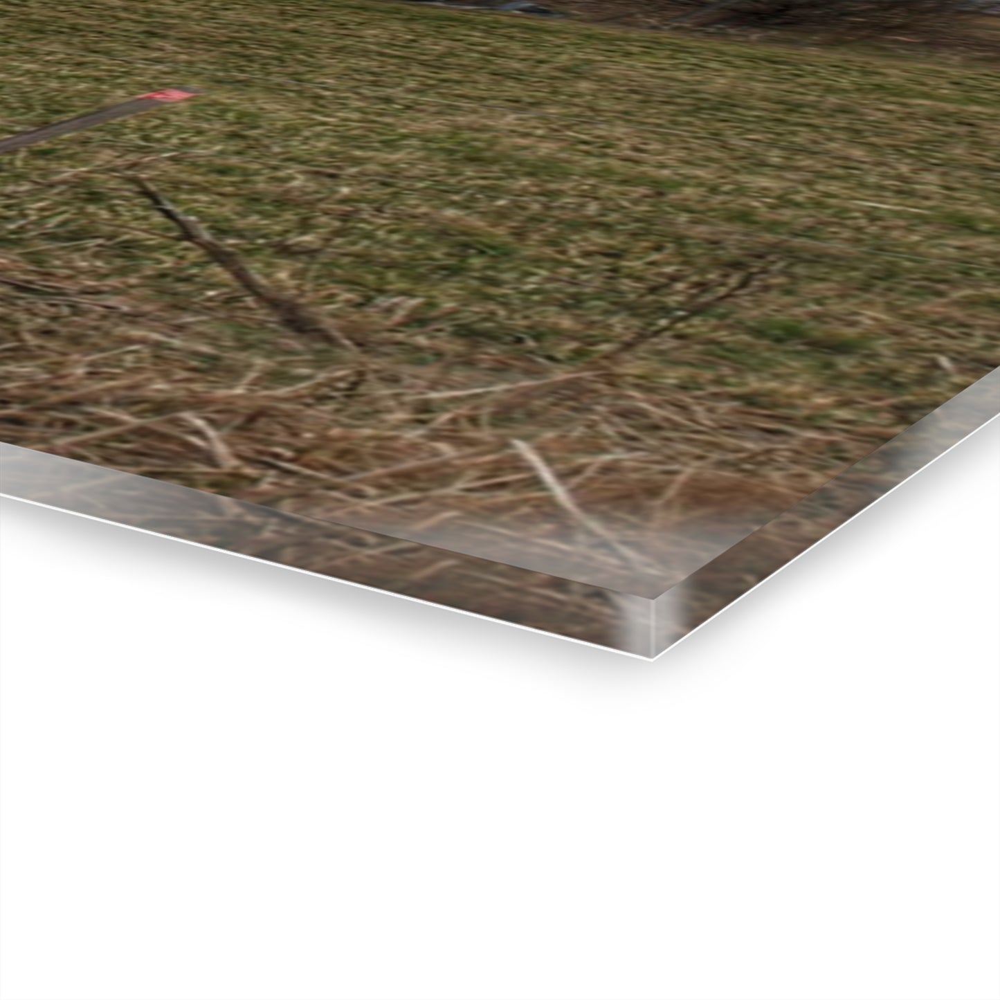 U R There Photography Dodge Road Grey II Rustic Farmhouse Acrylic Wall Print