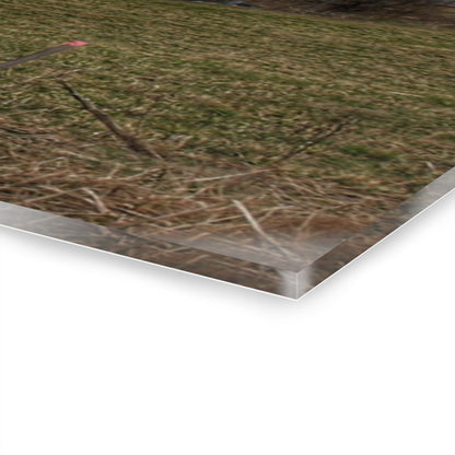 U R There Photography Dodge Road Grey II Rustic Farmhouse Acrylic Wall Print