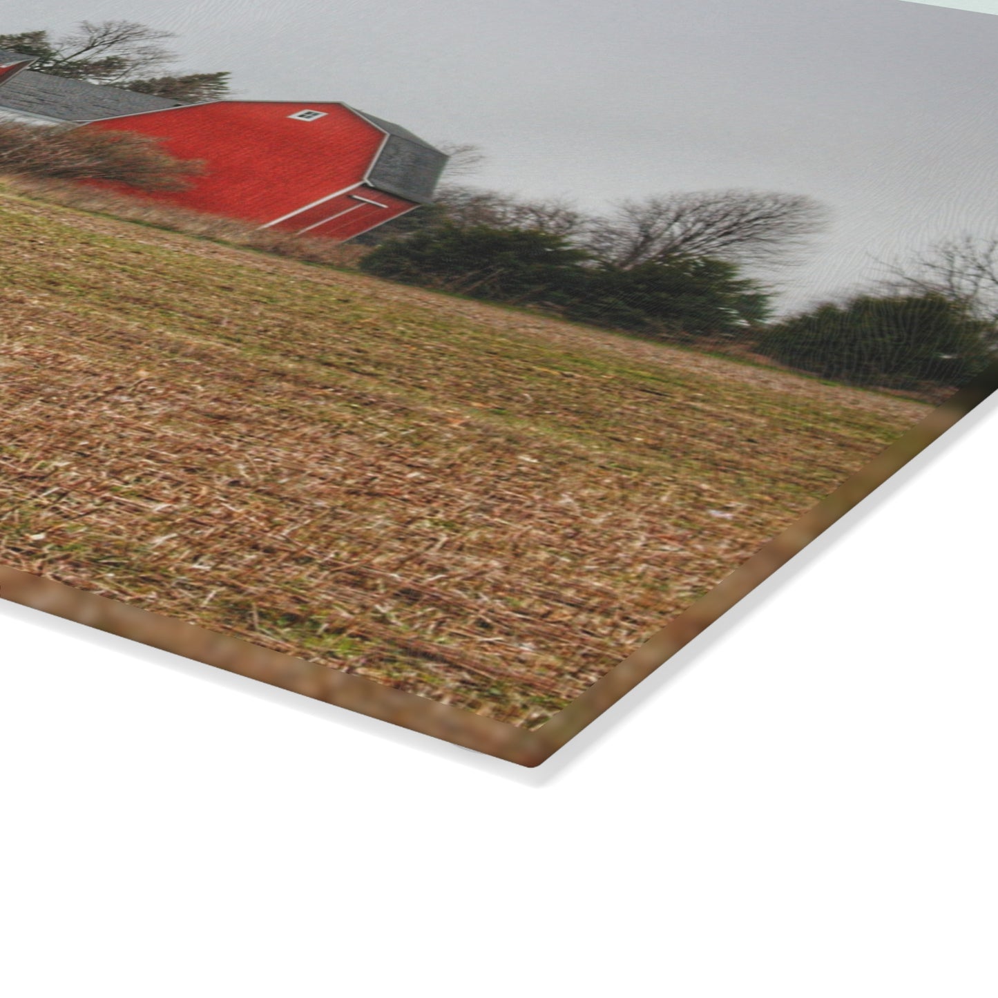 U R There Photography Kidder Road Reds Rustic Farmhouse Tempered-Glass Cutting Board