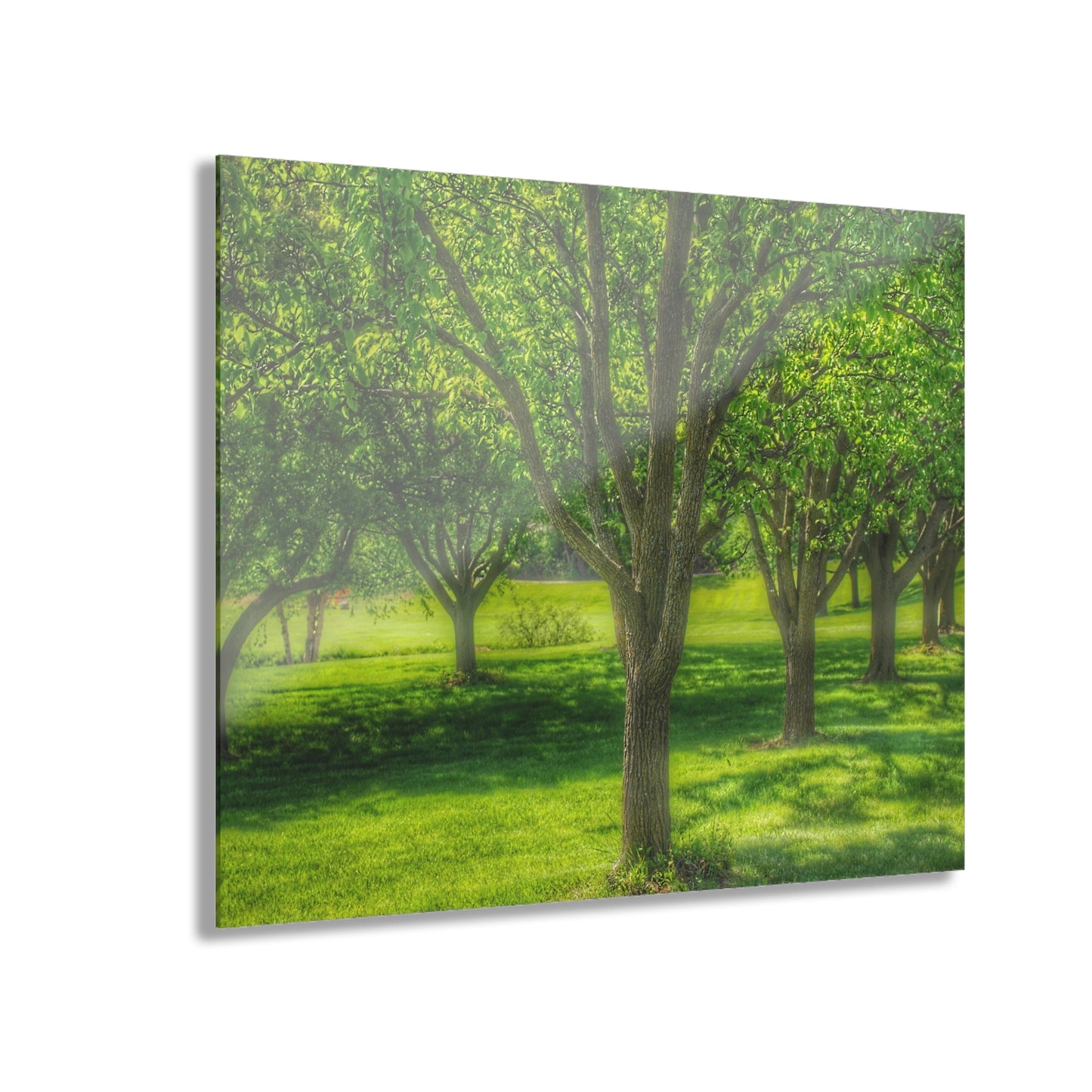U R There Photography Spring Trees in Chartreuse Rustic Farmhouse Acrylic Wall Print