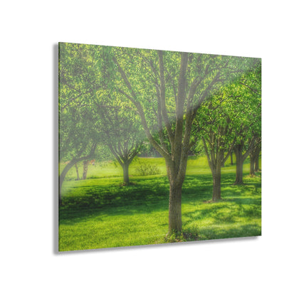 U R There Photography Spring Trees in Chartreuse Rustic Farmhouse Acrylic Wall Print
