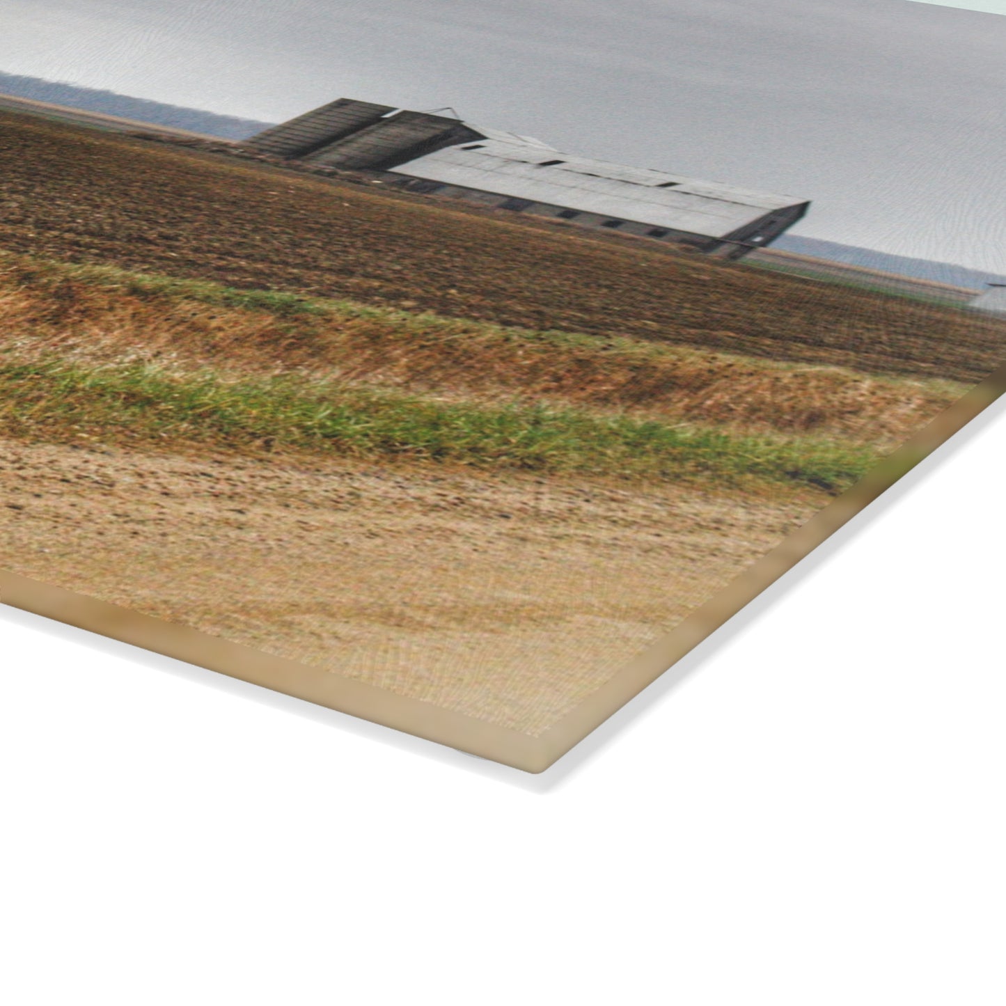 U R There Photography North Gates Road Old Grey I Rustic Farmhouse Tempered-Glass Cutting Board 8"x 11"