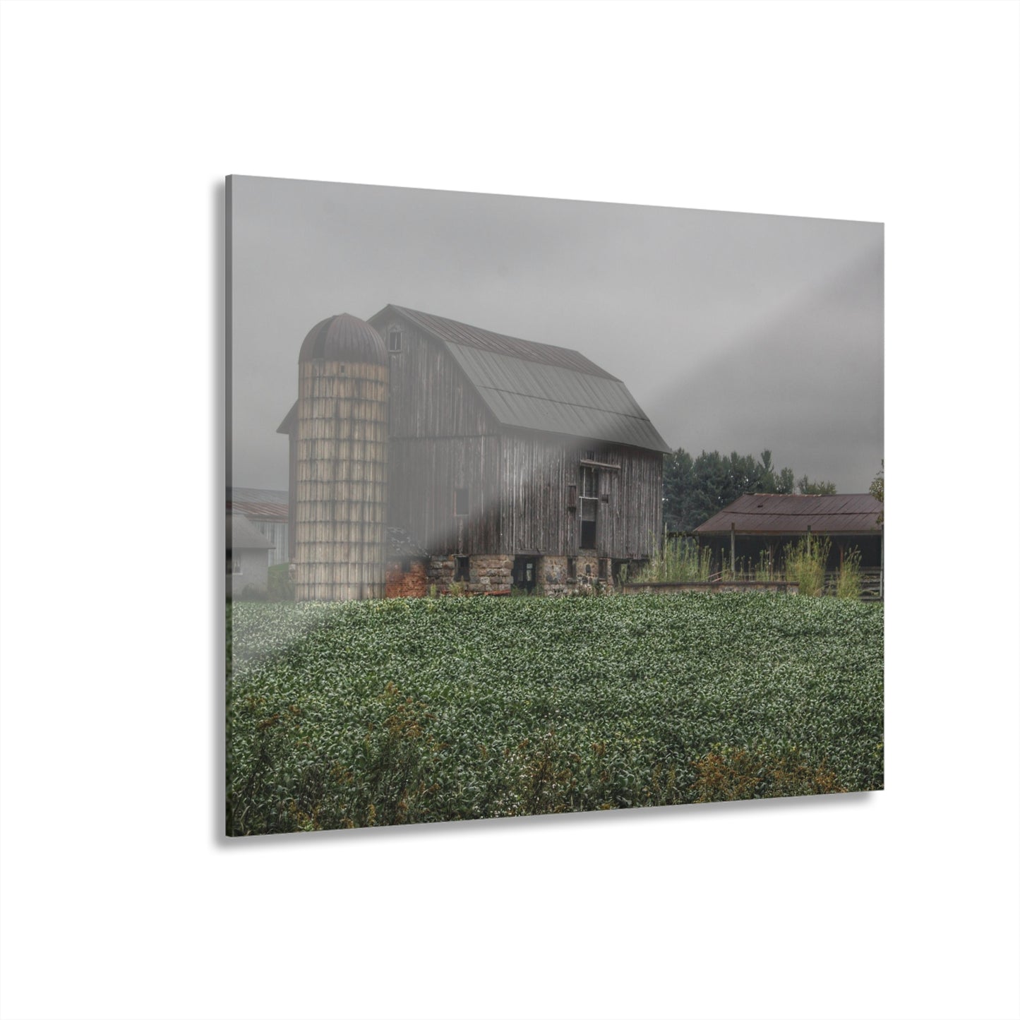 U R There Photography East Millington Road Grey and Stable Rustic Farmhouse Acrylic Wall Print