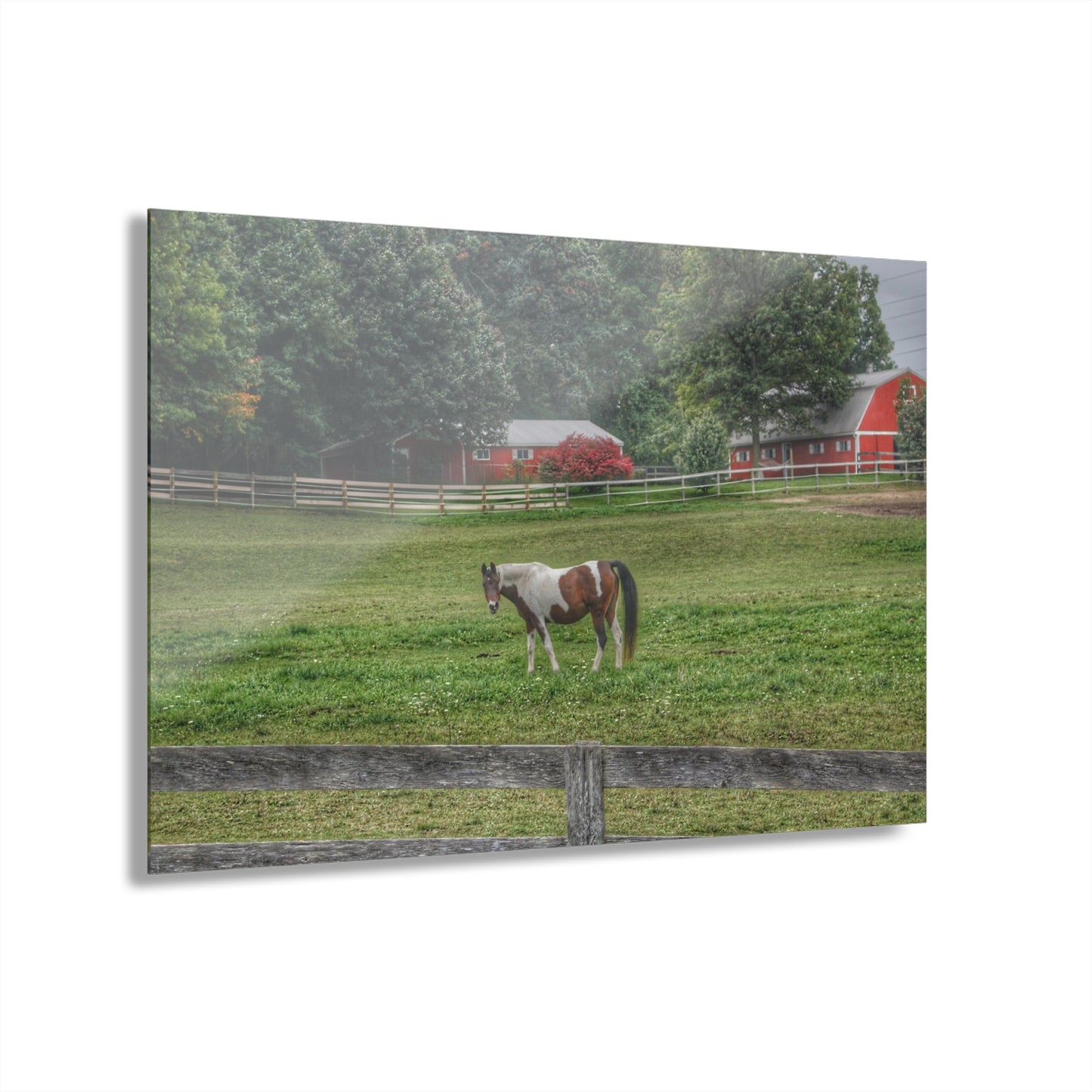 U R There Photography Painted Pony in Pasture Rustic Farmhouse Acrylic Wall Print