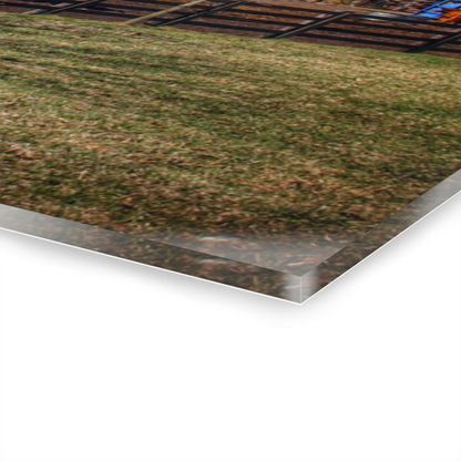 U R There Photography Imlay City Road Cow Barn II Rustic Farmhouse Acrylic Wall Print 14 "x 11"