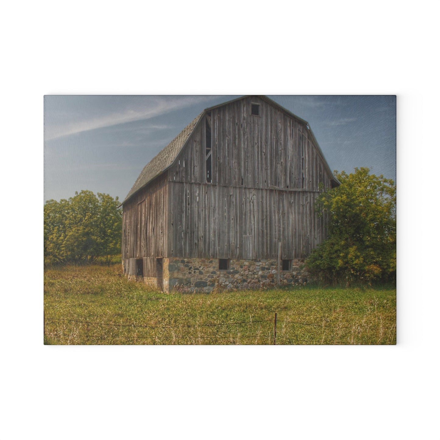 U R There Photography Cat Lake Grey II Rustic Farmhouse Tempered-Glass Cutting Board