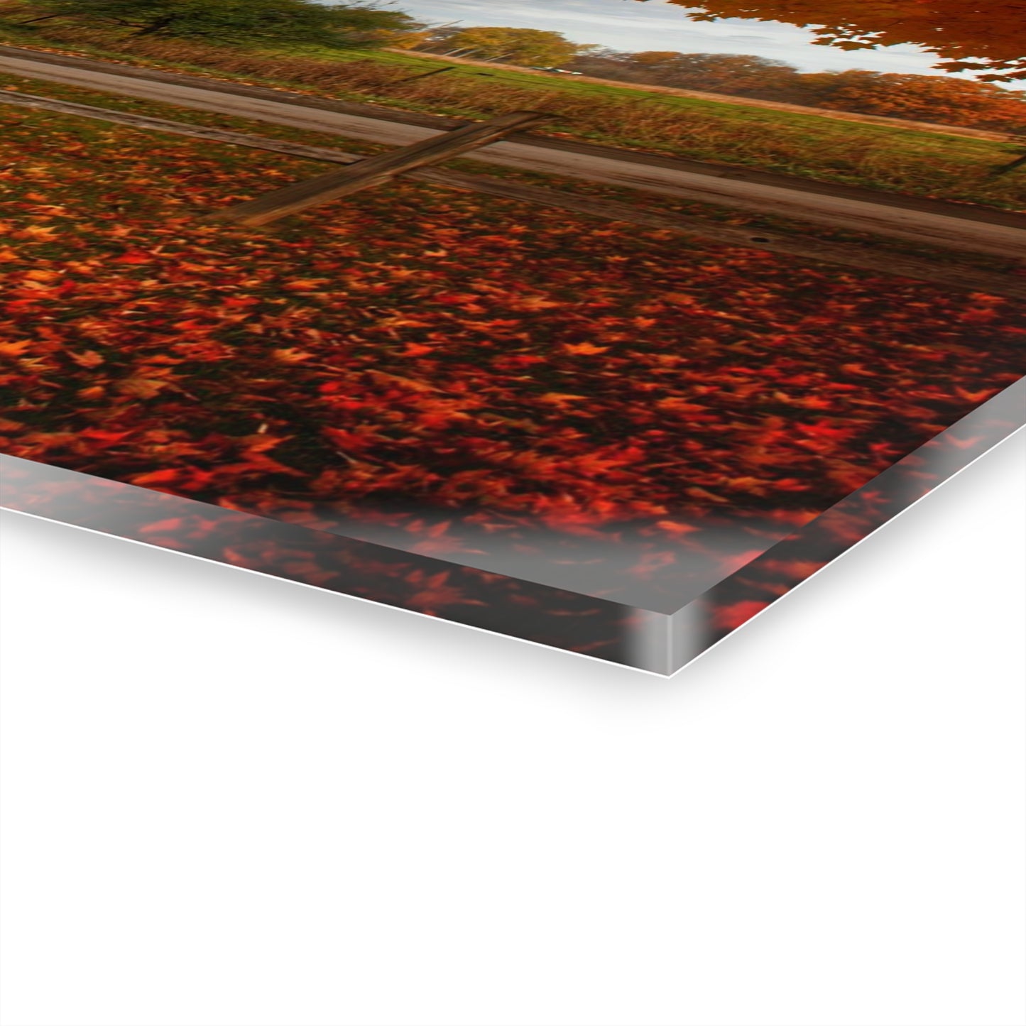 U R There Photography East Frances Road Hidden Grey II Rustic Farmhouse Acrylic Wall Print