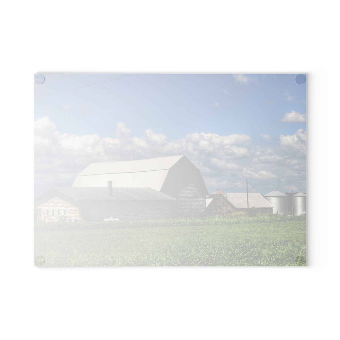 U R There Photography Lake Road Whites Rustic Farmhouse Tempered-Glass Cutting Board
