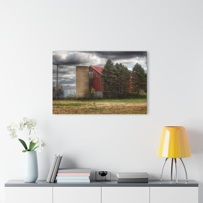 U R There Photography Laur Road Red Among the Pines II Rustic Farmhouse Acrylic Wall Print