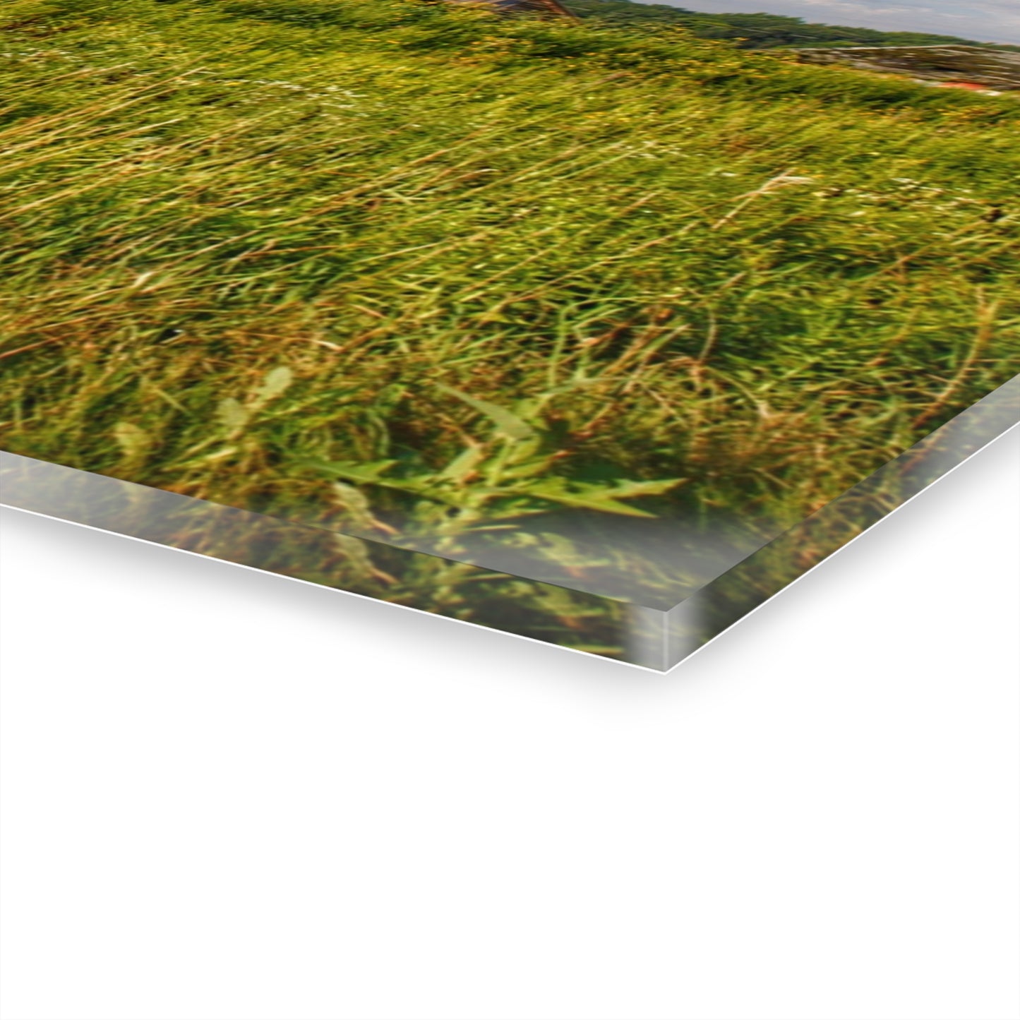 U R There Photography Morrish Road Silos II Rustic Farmhouse Acrylic Wall Print