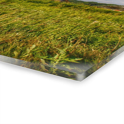 U R There Photography Morrish Road Silos II Rustic Farmhouse Acrylic Wall Print