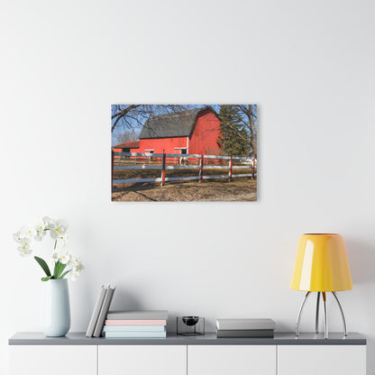 U R There Photography Wolcott Red and Filly Rustic Farmhouse Acrylic Wall Print