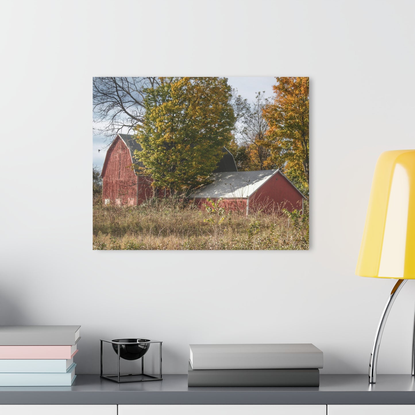 U R There Photography Bowers Road Red I Rustic Farmhouse Acrylic Wall Print