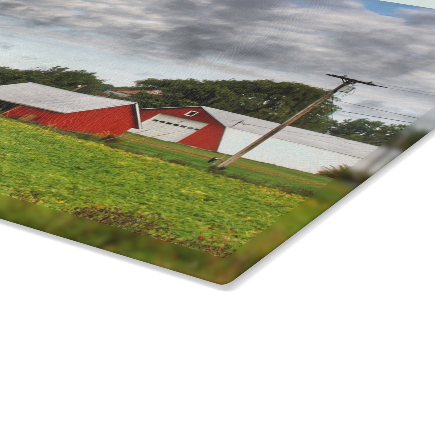 U R There Photography Kingston Road Trio III Rustic Farmhouse Tempered-Glass Cutting Board