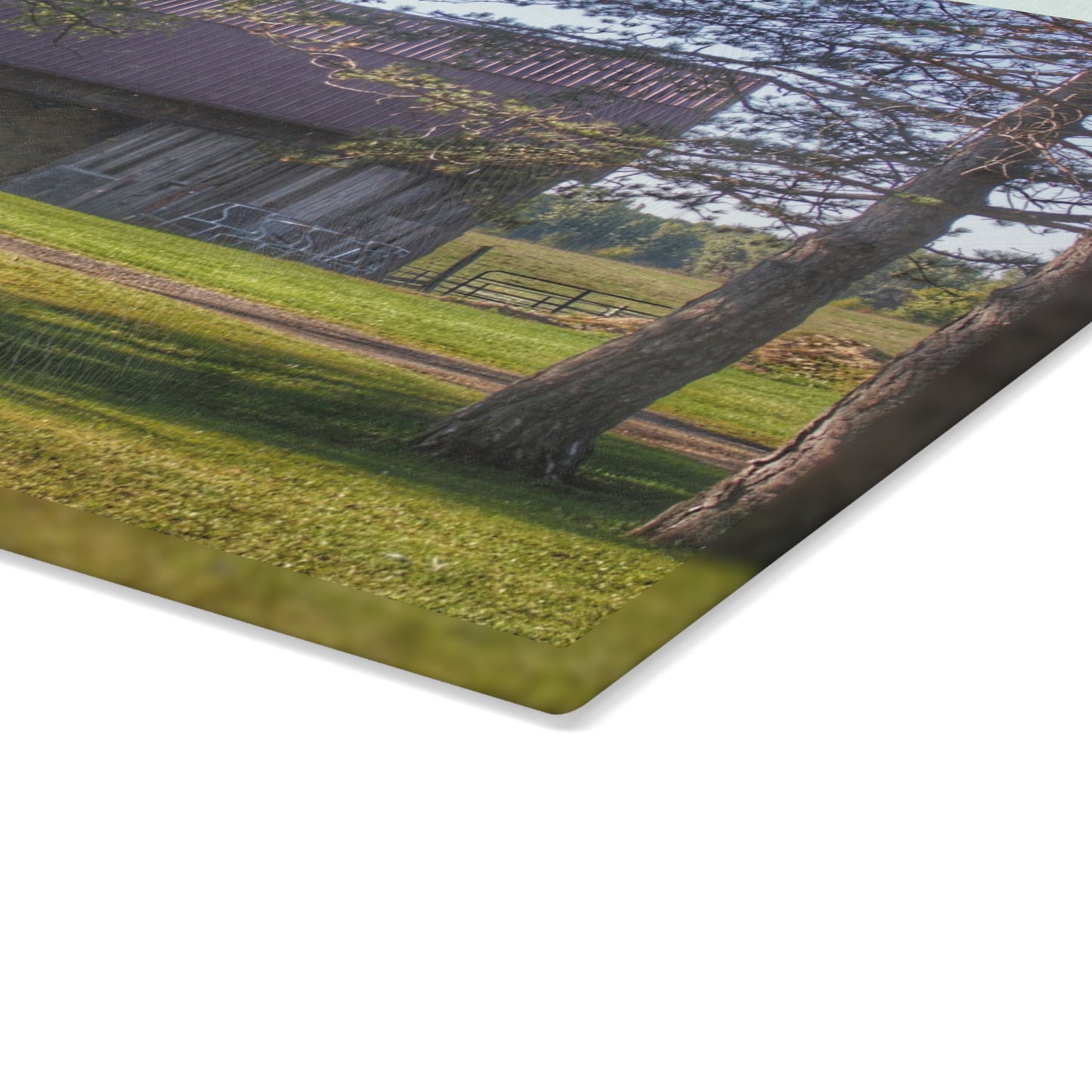 U R There Photography Newark Road Tilted Grey II Rustic Farmhouse Tempered-Glass Cutting Board