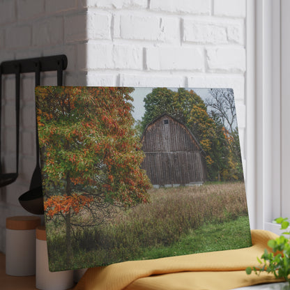 U R There Photography Mount Morris Road Grey in the Fall Rustic Farmhouse Tempered-Glass Cutting Board