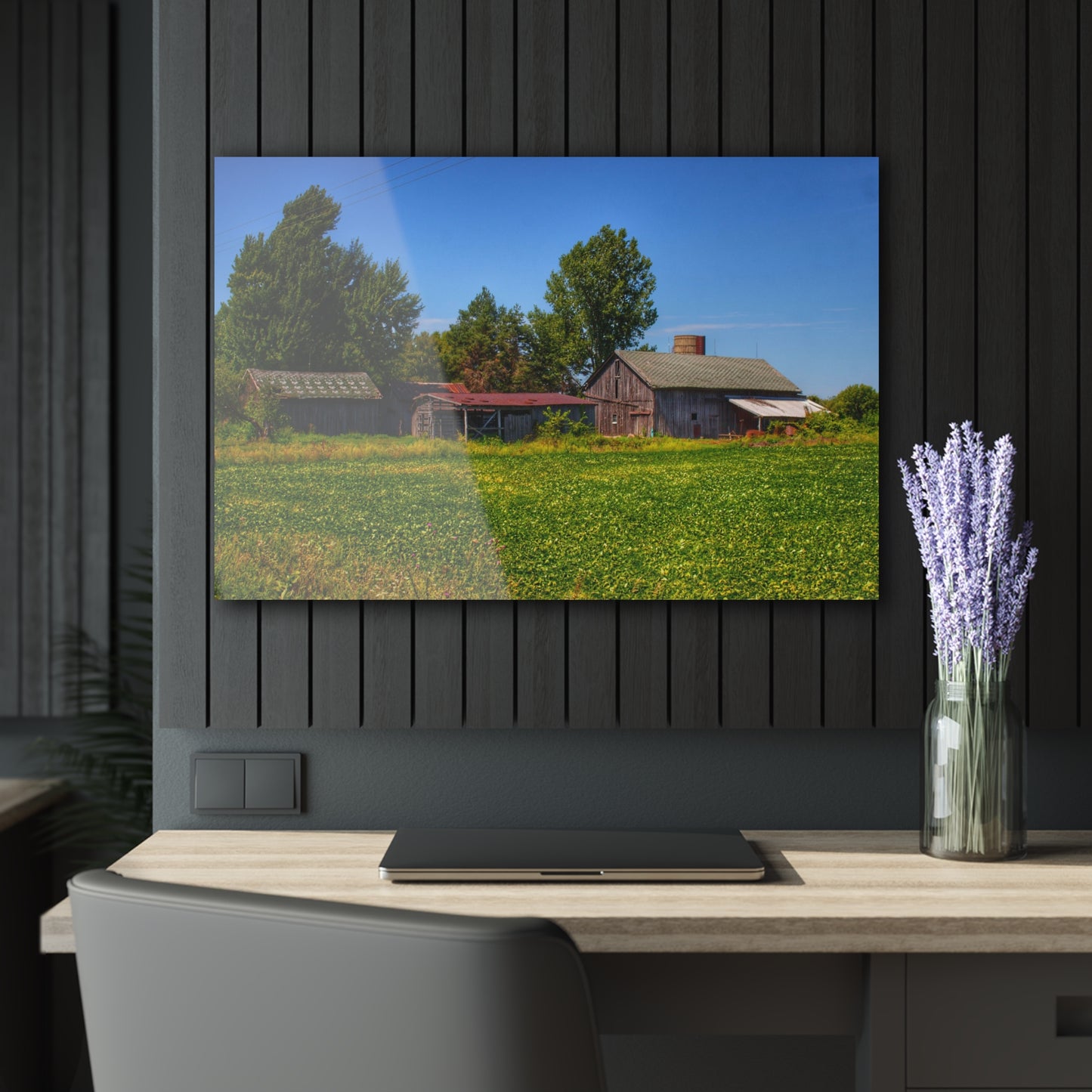 U R There Photography Birch Run Road Greys I Rustic Farmhouse Acrylic Wall Print