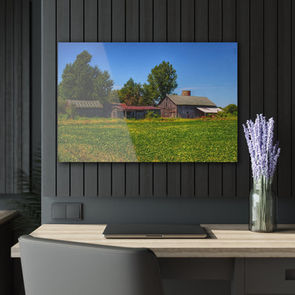 U R There Photography Birch Run Road Greys I Rustic Farmhouse Acrylic Wall Print