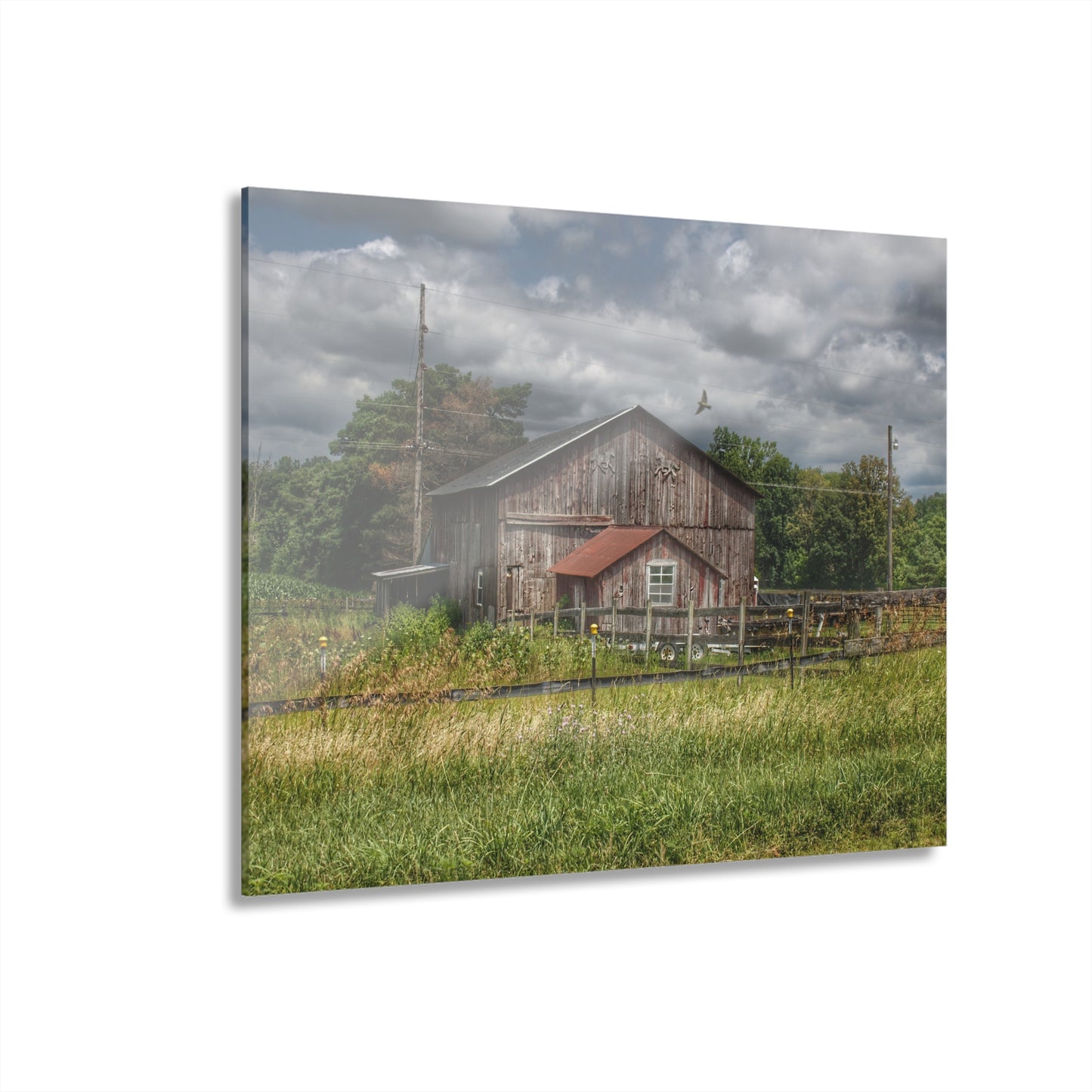 U R There Photography Millington Road Grey Horse Barn Rustic Farmhouse Acrylic Wall Print