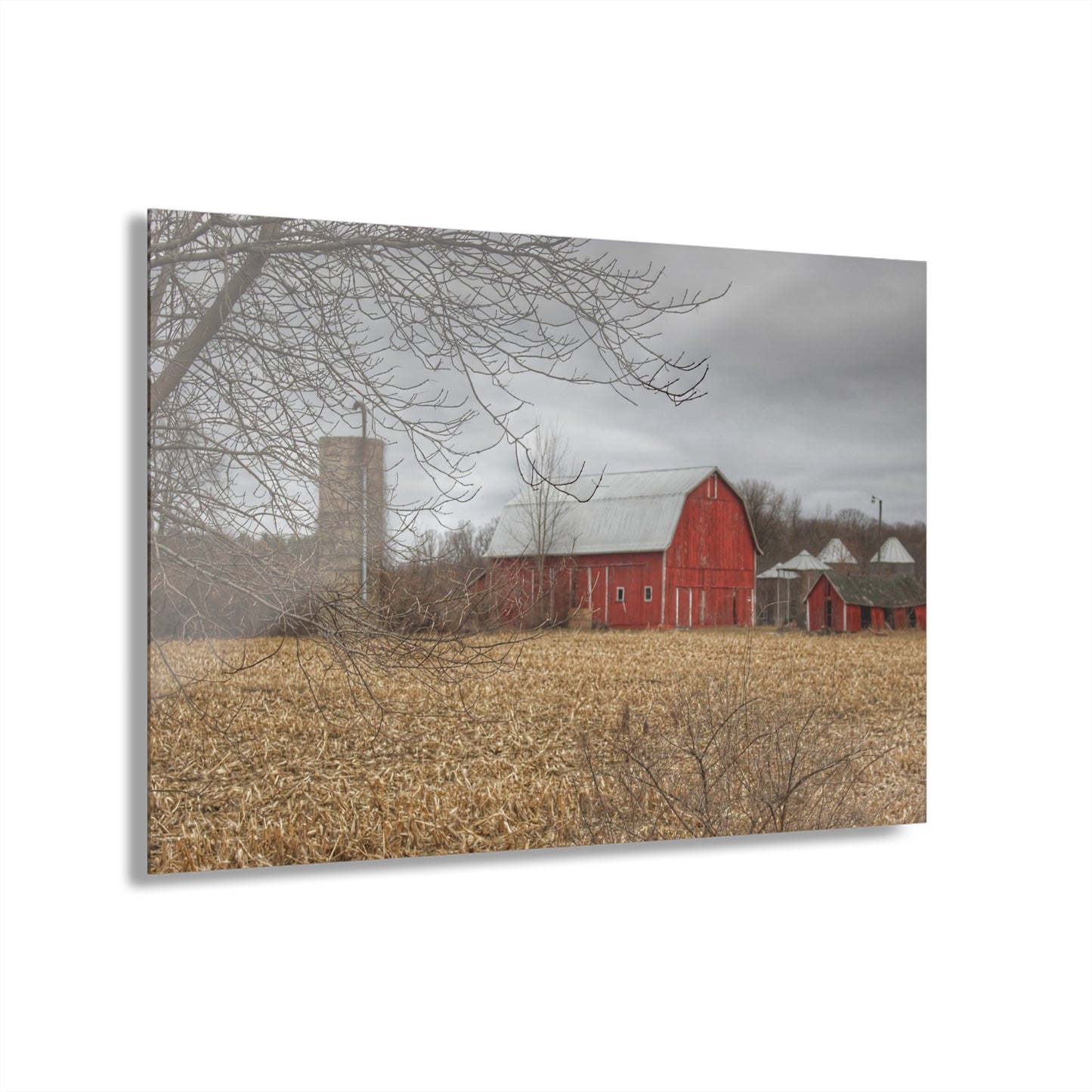 U R There Photography Barnes of Arbela I Rustic Farmhouse Acrylic Wall Print
