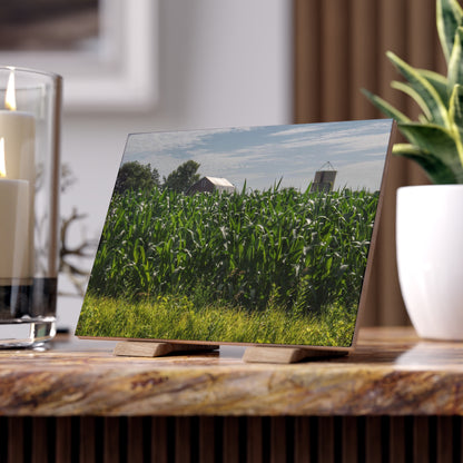 U R There Photography Above the Corn on Piersonville Road I Rustic Farmhouse Decorative Ceramic Tile