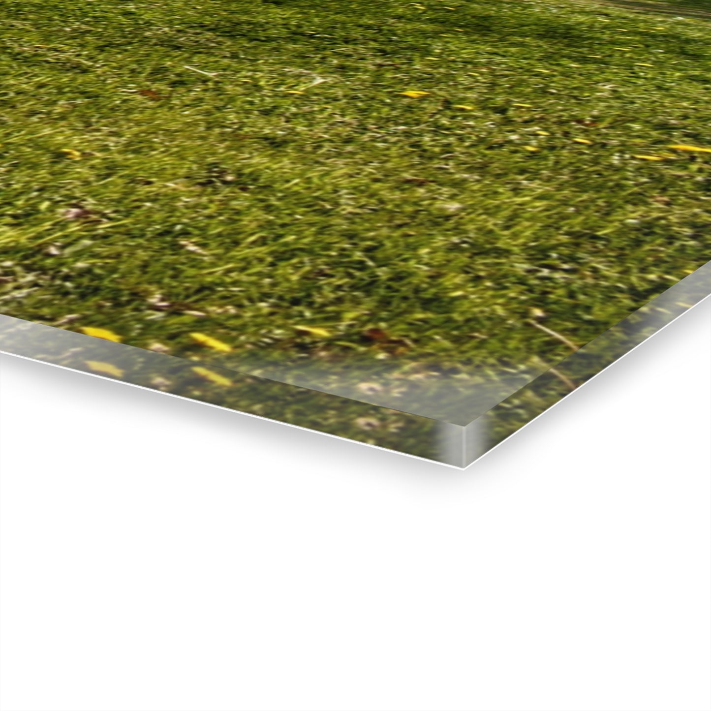 U R There Photography Maple Leaf Road Red Rustic Farmhouse Acrylic Wall Print