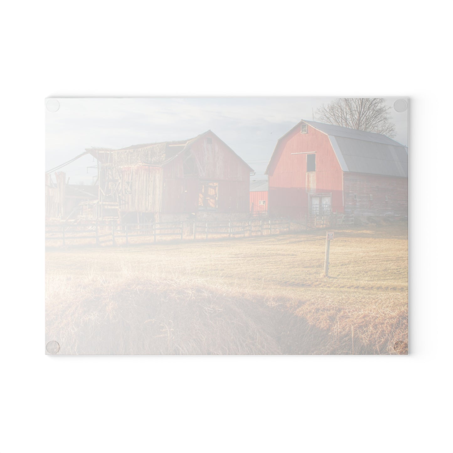 U R There Photography Irish Road Old Reds II Rustic Farmhouse Tempered-Glass Cutting Board