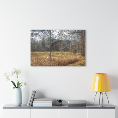 U R There Photography Speaker Road Hidden Grey Rustic Farmhouse Acrylic Wall Print