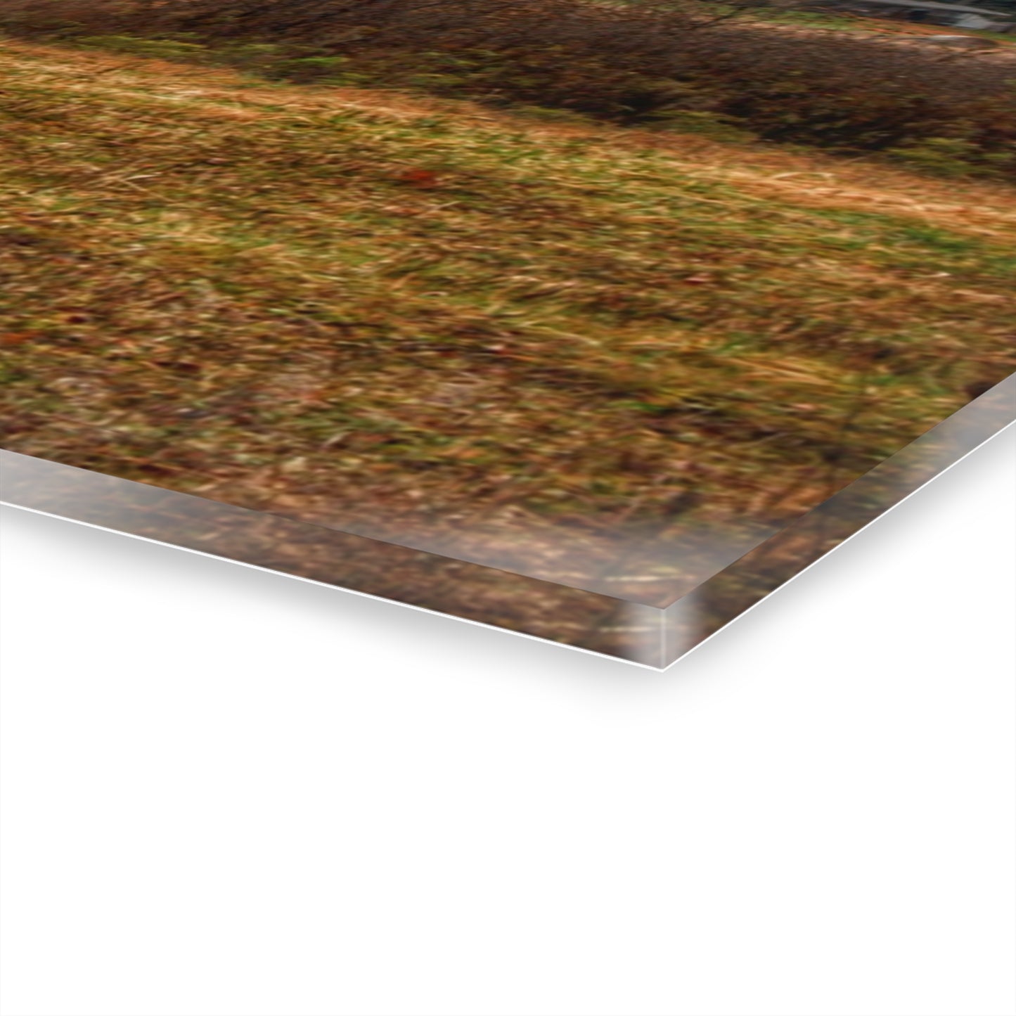 U R There Photography German Road Forgotten Red I Rustic Farmhouse Acrylic Wall Print