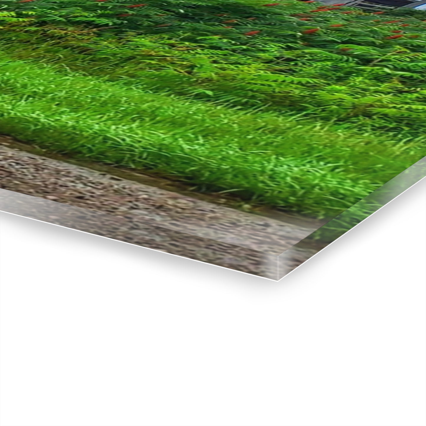 U R There Photography Metamora M-24 Grey IV Rustic Farmhouse Acrylic Wall Print