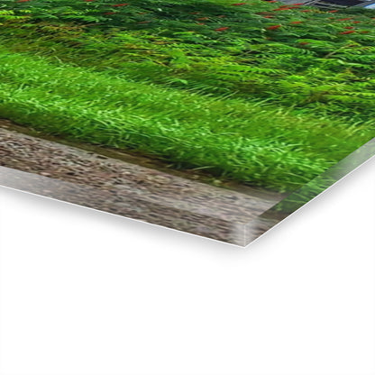 U R There Photography Metamora M-24 Grey IV Rustic Farmhouse Acrylic Wall Print