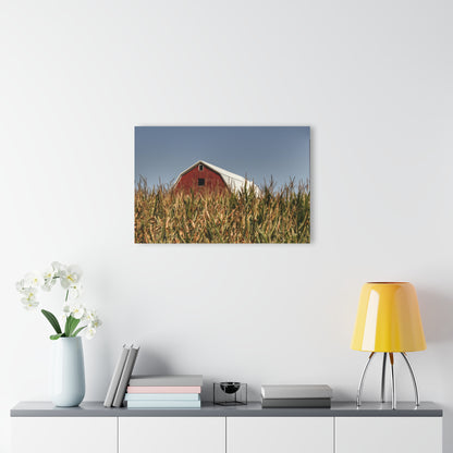 Beyond the Corn Rustic Farmhouse Acrylic Wall Print