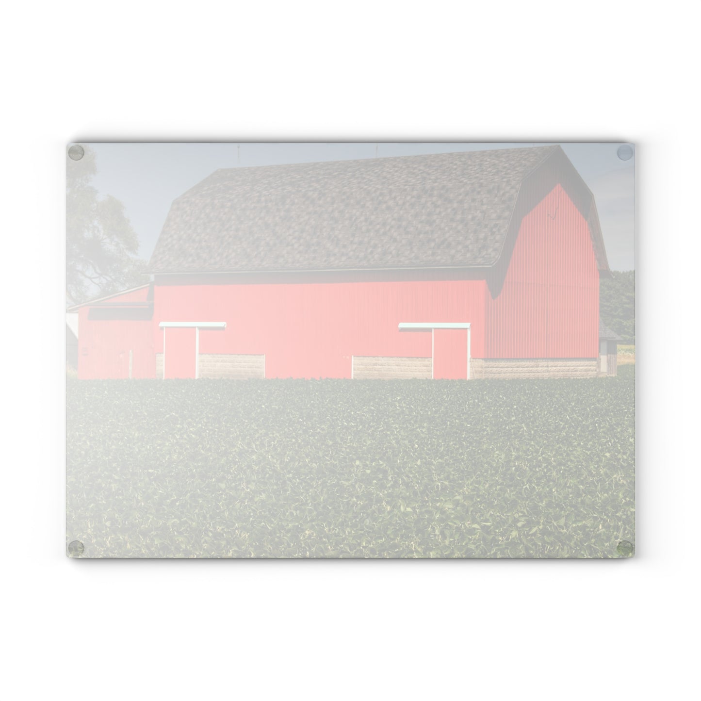 U R There Photography Elba Red I Rustic Farmhouse Tempered-Glass Cutting Board