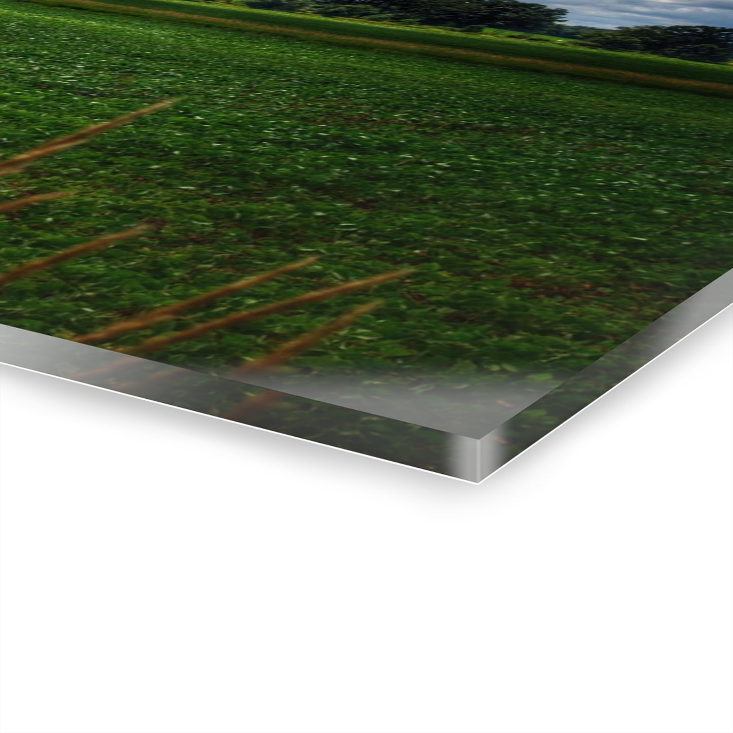 U R There Photography Farm from a Distance Rustic Farmhouse Acrylic Wall Print