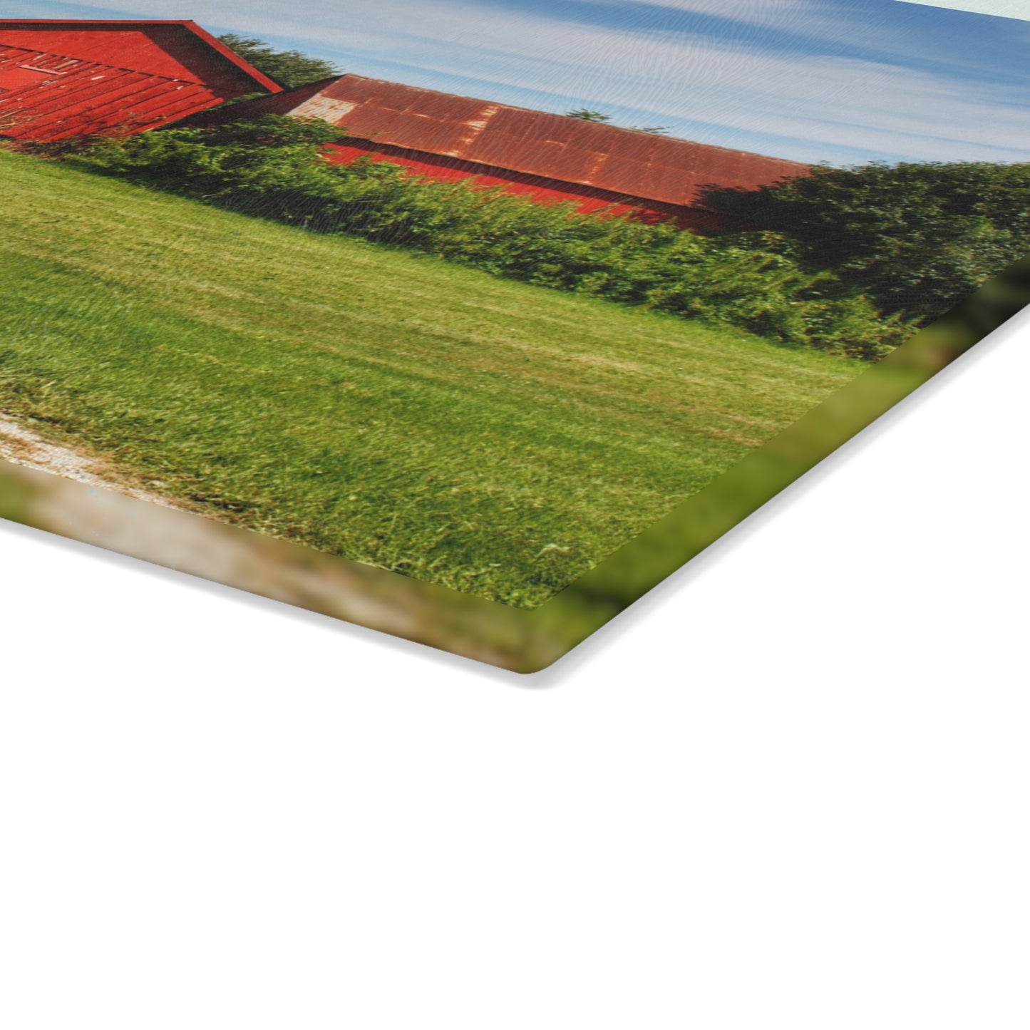 U R There Photography South Oak Road Reds I Rustic Farmhouse Tempered-Glass Cutting Board