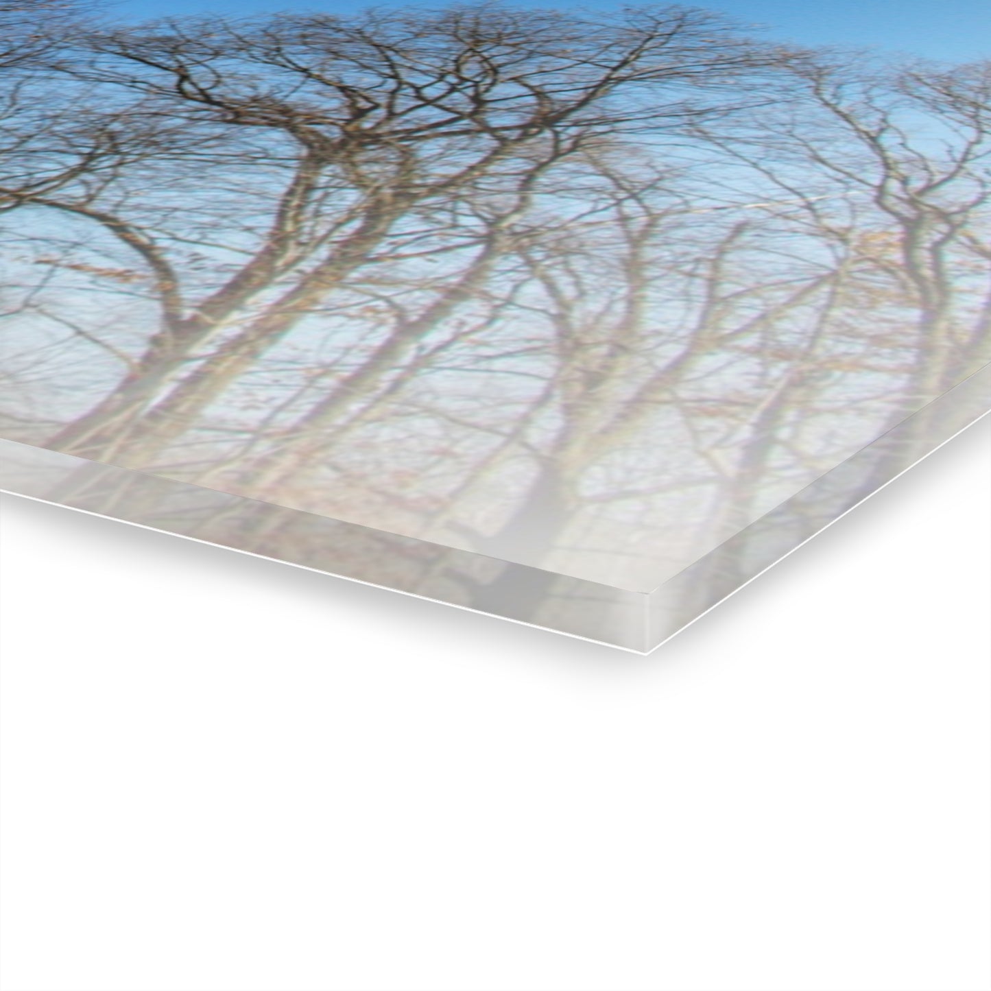 U R There Photography Our Grand Old Flag Rustic Farmhouse Acrylic Wall Print