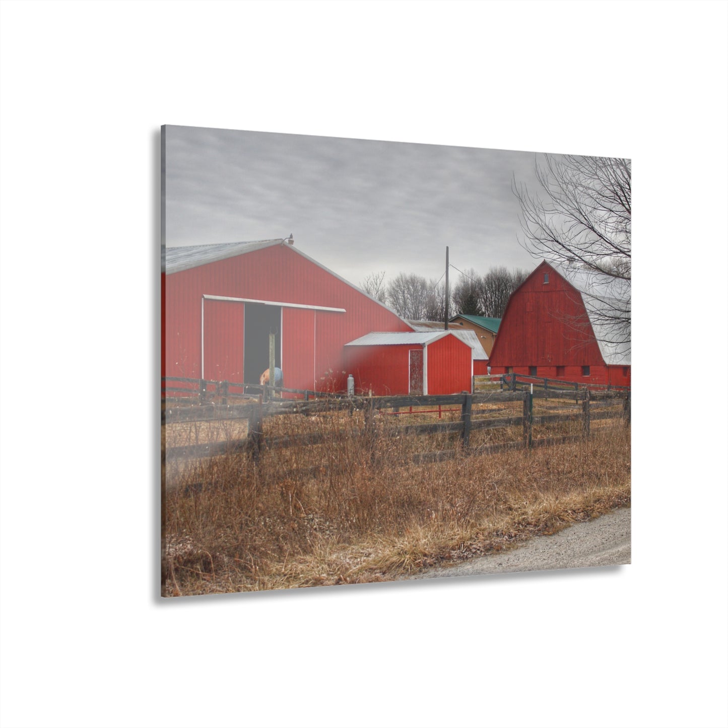 U R There Photography January Reds Rustic Farmhouse Acrylic Wall Print