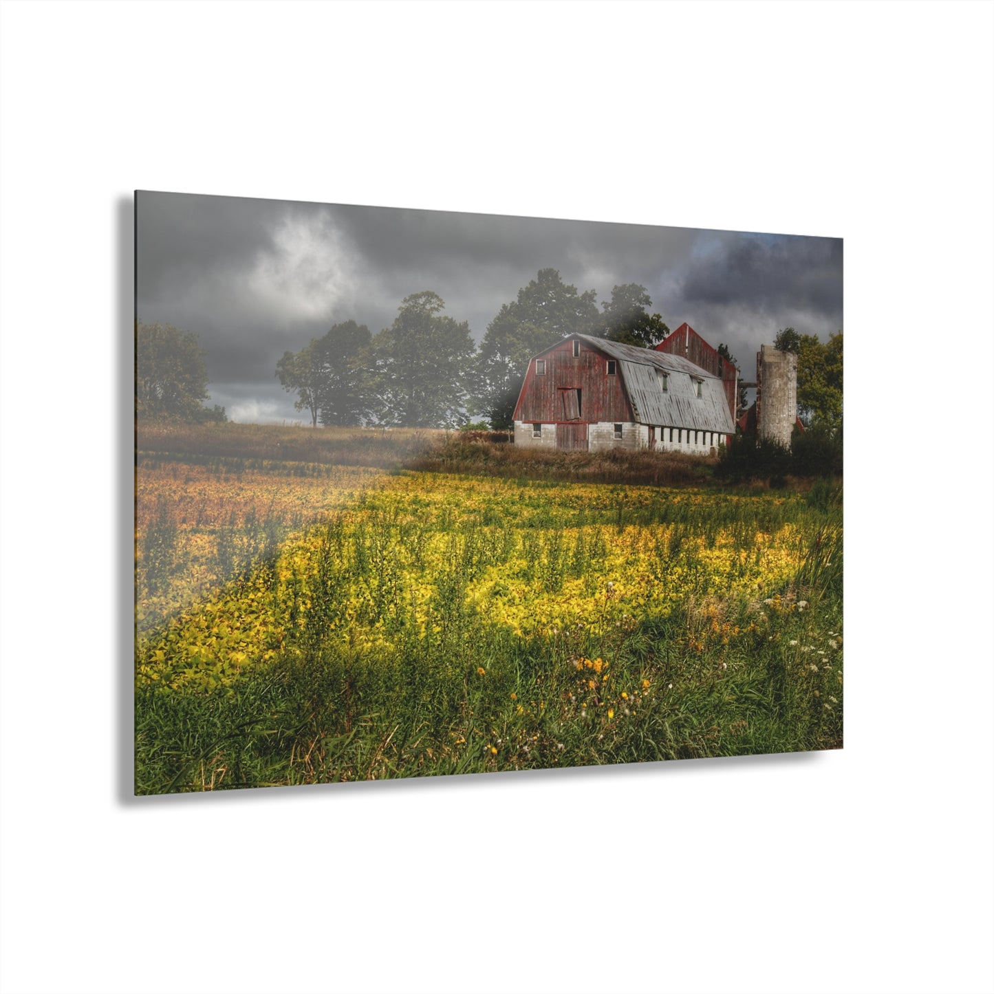 U R There Photography Remnants Rustic Farmhouse Acrylic Wall Print