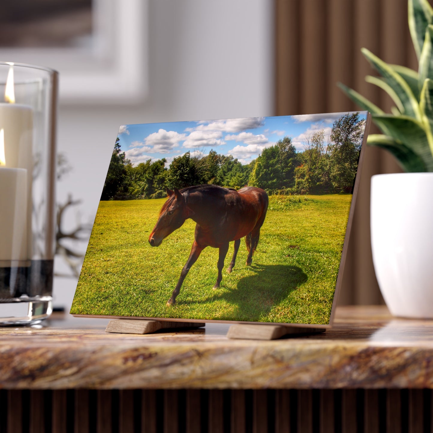 U R There Photography Brown Beauty II Rustic Farmhouse Decorative Ceramic Tile 6" × 8" Glossy