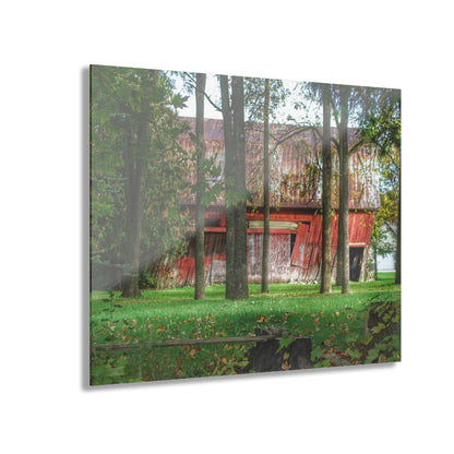 U R There Photography LeValley Falling Red Rustic Farmhouse Acrylic Wall Print