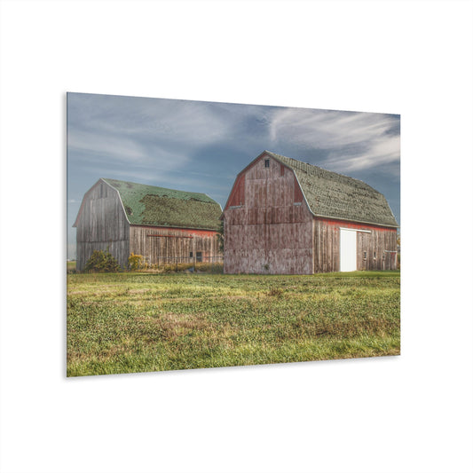 U R There Photography Vassar Twin Reds Rustic Farmhouse Acrylic Wall Print