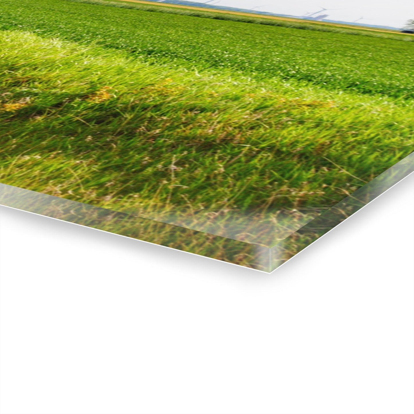 U R There Photography North Graf Road Old Grey Rustic Farmhouse Acrylic Wall Print