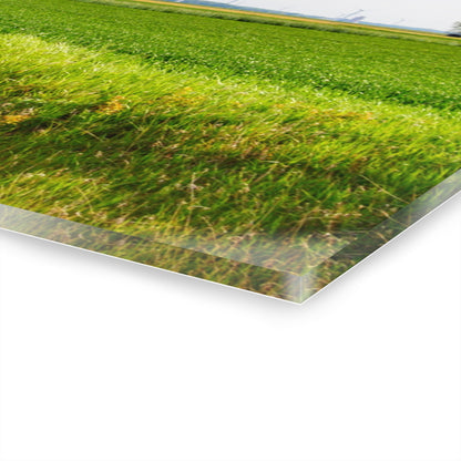 U R There Photography North Graf Road Old Grey Rustic Farmhouse Acrylic Wall Print