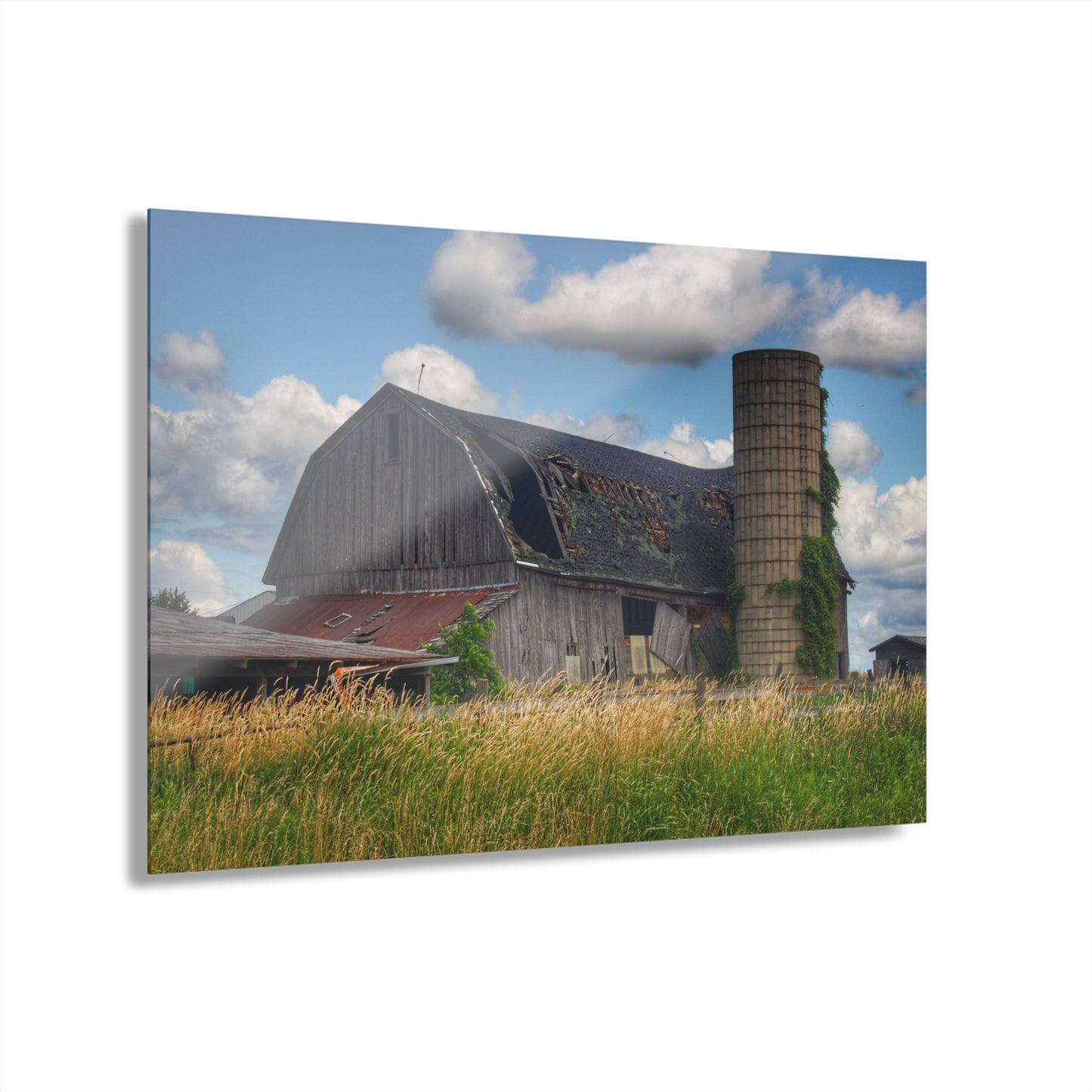 U R There Photography Millington Forgotten Grey Rustic Farmhouse Acrylic Wall Print