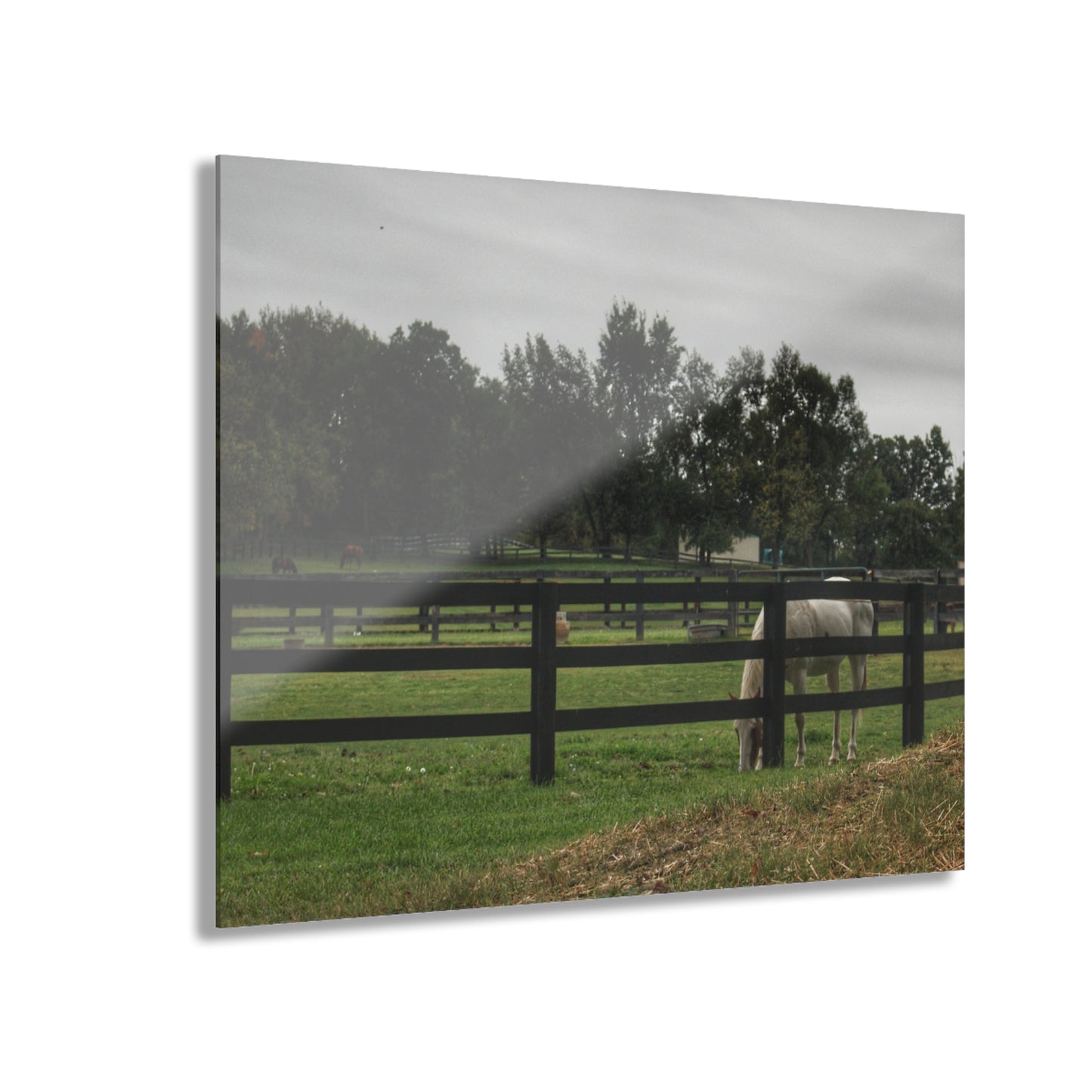 Barn Boutique Modern Farmhouse Acrylic Wall Print| Beyond the Fence White