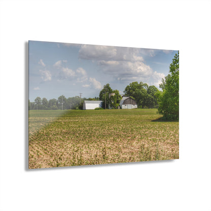 U R There Photography Willard Road White Rustic Farmhouse Acrylic Wall Print